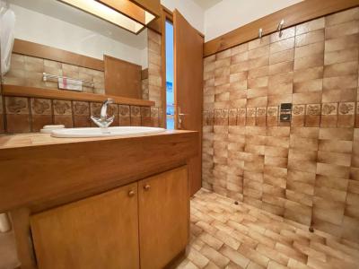 Vacances en montagne Appartement 2 pièces cabine 5 personnes (B1J) - Résidence le Clos d'Arly - Praz sur Arly - Salle de bain