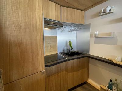 Holiday in mountain resort Studio cabin 4 people (D0H) - Résidence le Clos d'Arly - Praz sur Arly - Kitchenette