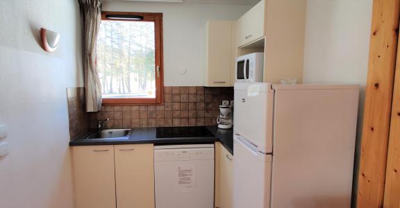 Vacances en montagne Résidence le Hameau du Puy - Superdévoluy - Kitchenette