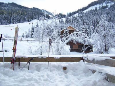 Holiday in mountain resort 2 room apartment 4 people (A6) - Résidence le Mermy - Châtel