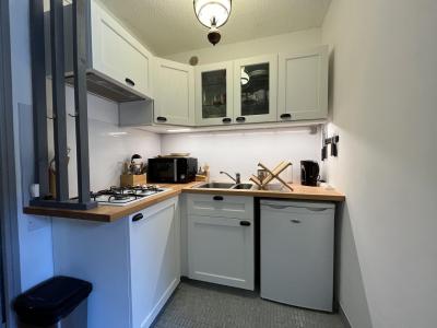 Vacances en montagne Studio 4 personnes (B1-241) - Résidence le Monoikos - Pra Loup - Kitchenette