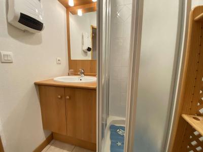 Vacances en montagne Appartement 2 pièces 6 personnes (008) - Résidence le Parc aux Biches - Praz sur Arly - Salle de douche