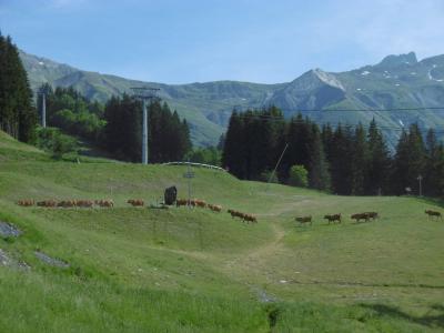 Vacanze in montagna Appartamento 2 stanze per 4 persone (013) - Résidence le Pierrafort - Valmorel