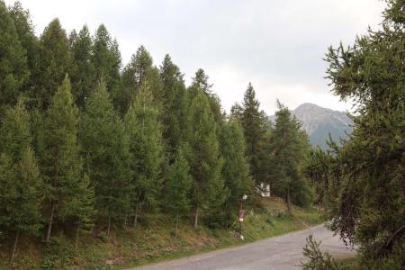 Vakantie in de bergen Studio 6 personen (302) - Résidence le Pouzenc - Les Orres - Buiten zomer