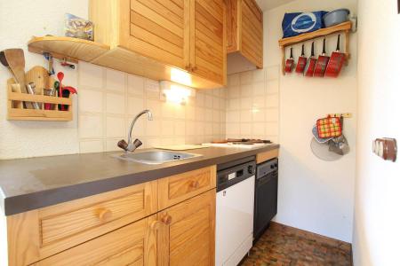 Vacances en montagne Appartement 2 pièces 4 personnes (ANEM11) - Résidence les Anémones - Pelvoux - Kitchenette