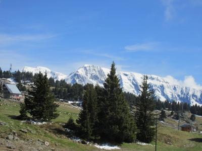 Vacaciones en montaña Estudio para 4 personas (413) - Résidence les Carlines - Chamrousse