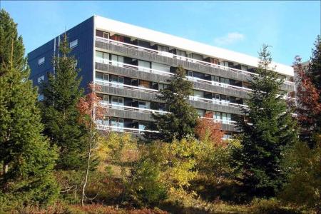 Wynajem Chamrousse : Résidence les Carlines lato