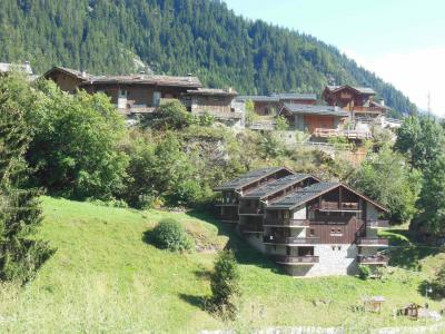 Vacances en montagne Résidence les Clarines - Champagny-en-Vanoise - Extérieur été
