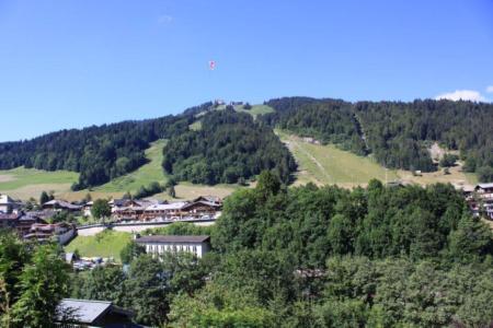 Holiday in mountain resort 5 room duplex apartment 10 people - Résidence les Gravillons - Morzine - Summer outside
