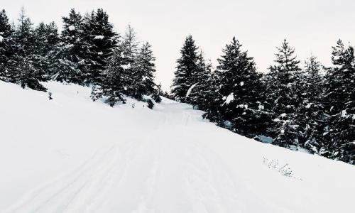 Urlaub in den Bergen 2-Zimmer-Appartment für 4 Personen (Sélection 37m²) - Résidence les Mélèzes - MH - La Joue du Loup - Draußen im Sommer