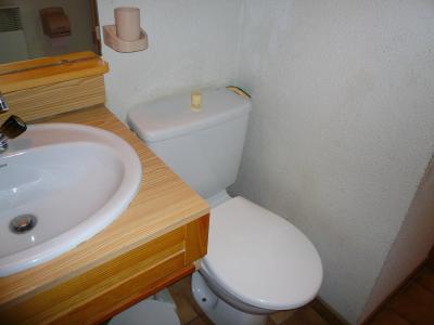 Vacances en montagne Studio 4 personnes (B04) - Résidence les Oréades - Combloux - Wc