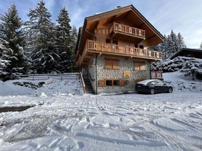 Vacances en montagne Résidence les Perdrix - Méribel - 