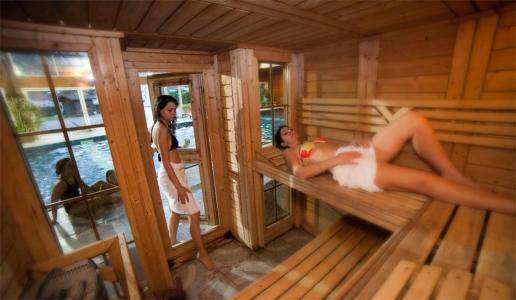 Vacances en montagne Résidence les Vallées - La Bresse - Sauna