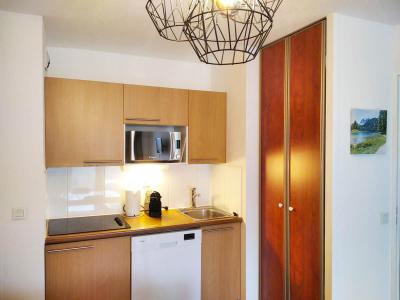 Vacanze in montagna Appartamento 2 stanze per 4 persone (24-66) - Résidence Pic du Midi - Barèges/La Mongie - Cucina