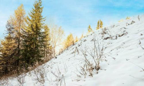 Vacances en montagne Appartement 2 pièces 4 personnes (Sélection 35m²) - Résidence Plagne Lauze - MH - La Plagne - Extérieur été