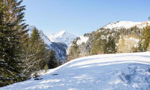 Rent in ski resort 2 room apartment 6 people (Budget 40m²) - Résidence Pollux - MH - Flaine - Summer outside