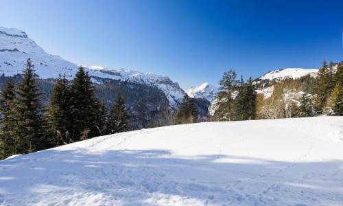 Holiday in mountain resort Studio 4 people (Budget 23m²) - Résidence Pollux - MH - Flaine - Summer outside