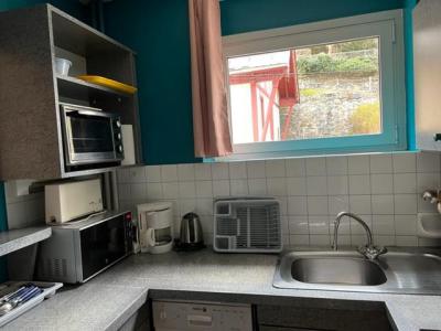 Vakantie in de bergen Appartement 2 kamers 4 personen (301) - Résidence Royal - Brides Les Bains - Keukenblok