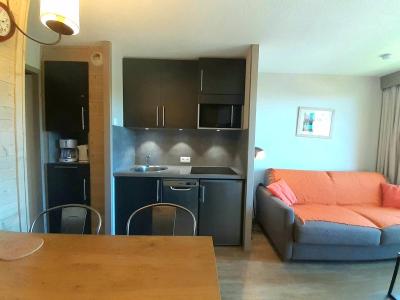 Vacances en montagne Studio coin montagne 4 personnes (414) - Résidence Themis - La Plagne - Kitchenette