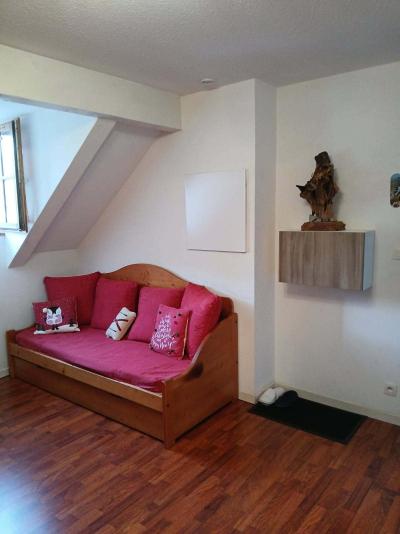 Vacances en montagne Appartement 2 pièces cabine 6 personnes (1-0021) - Résidence Vignec Village - Saint Lary Soulan - Séjour