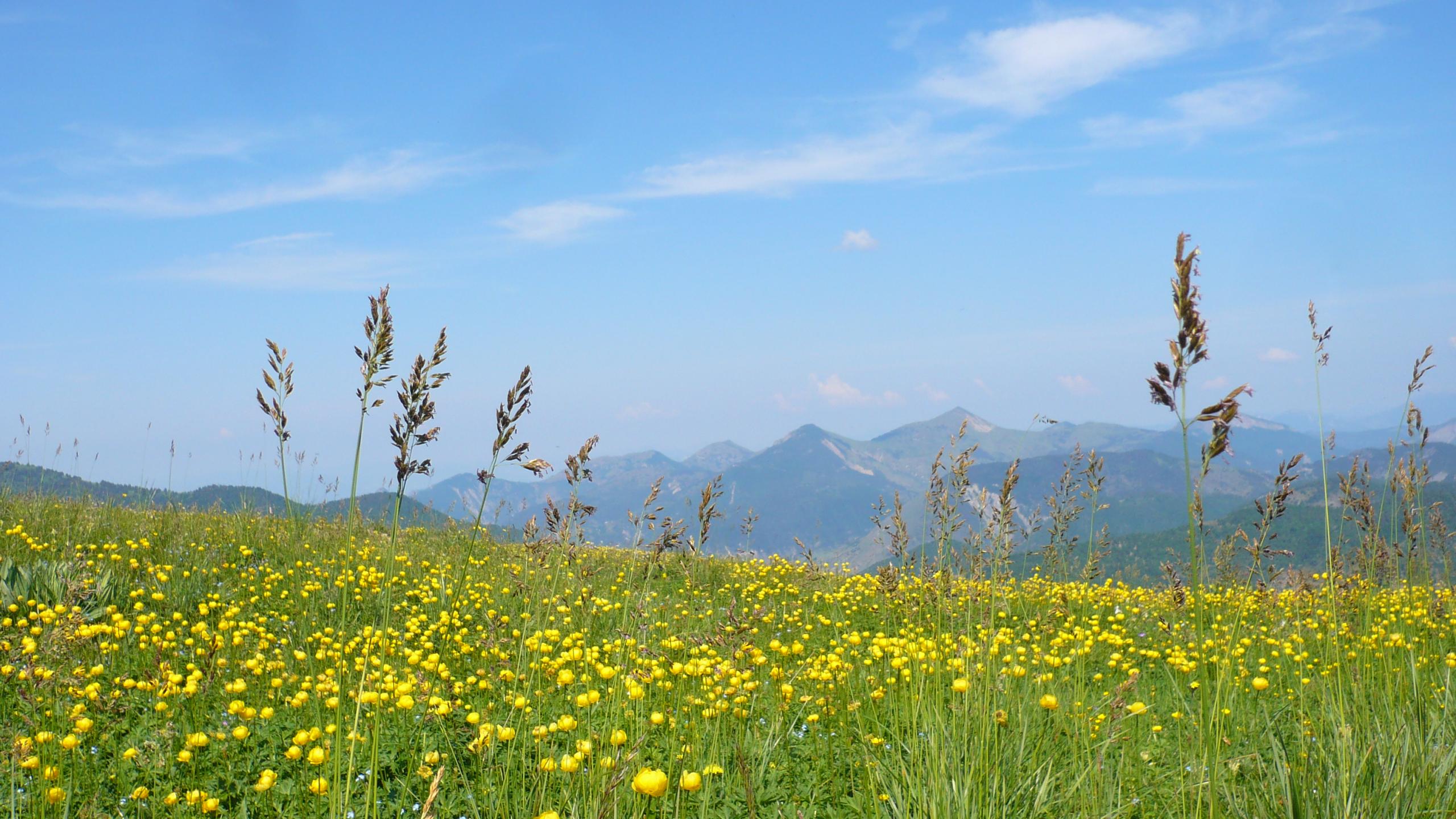 vacaciones montana Chabanon-Selonnet