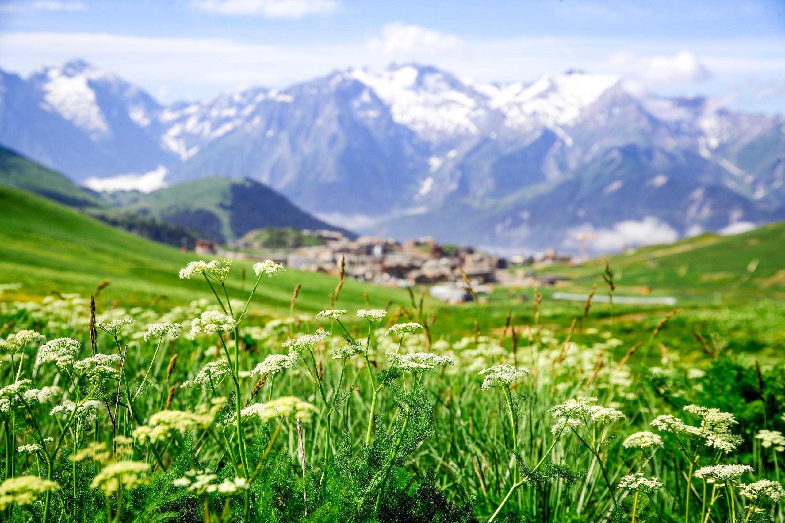 mountain vacation Alpe d'Huez