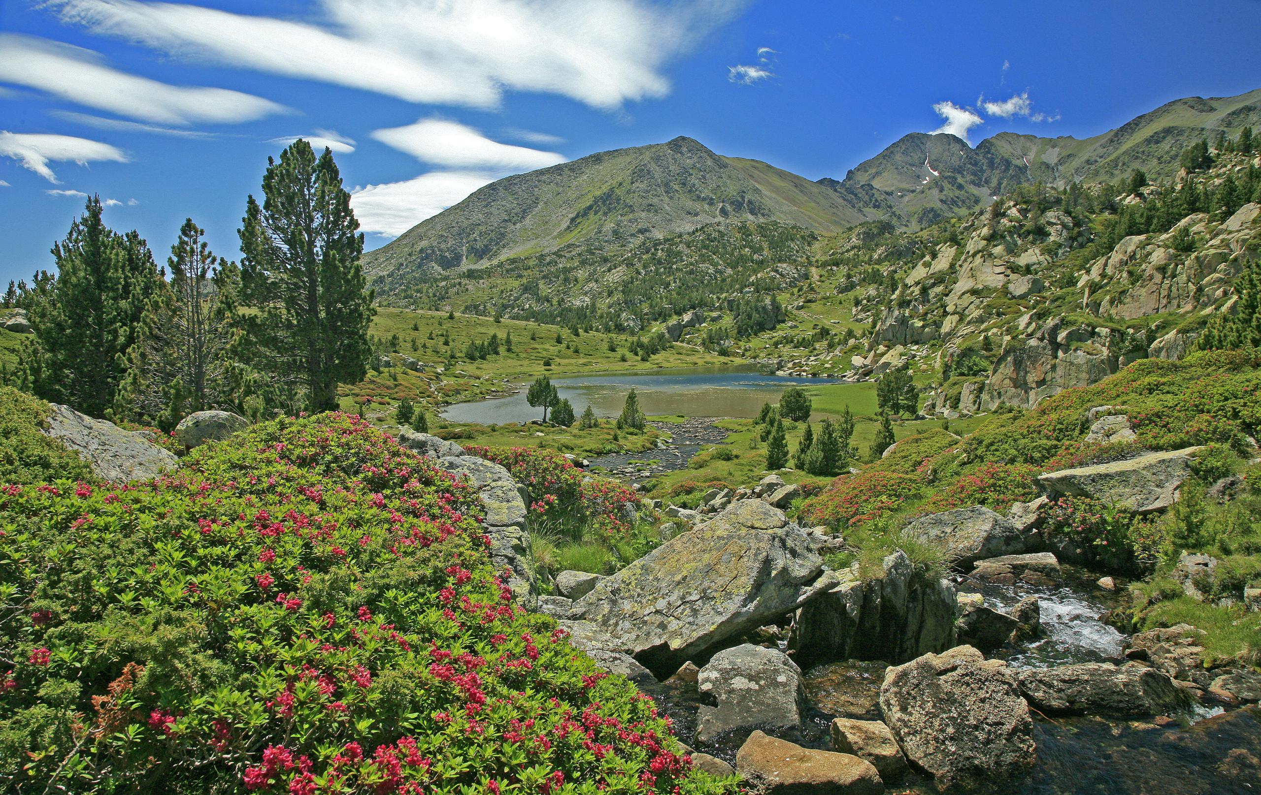 mountain vacation Font Romeu