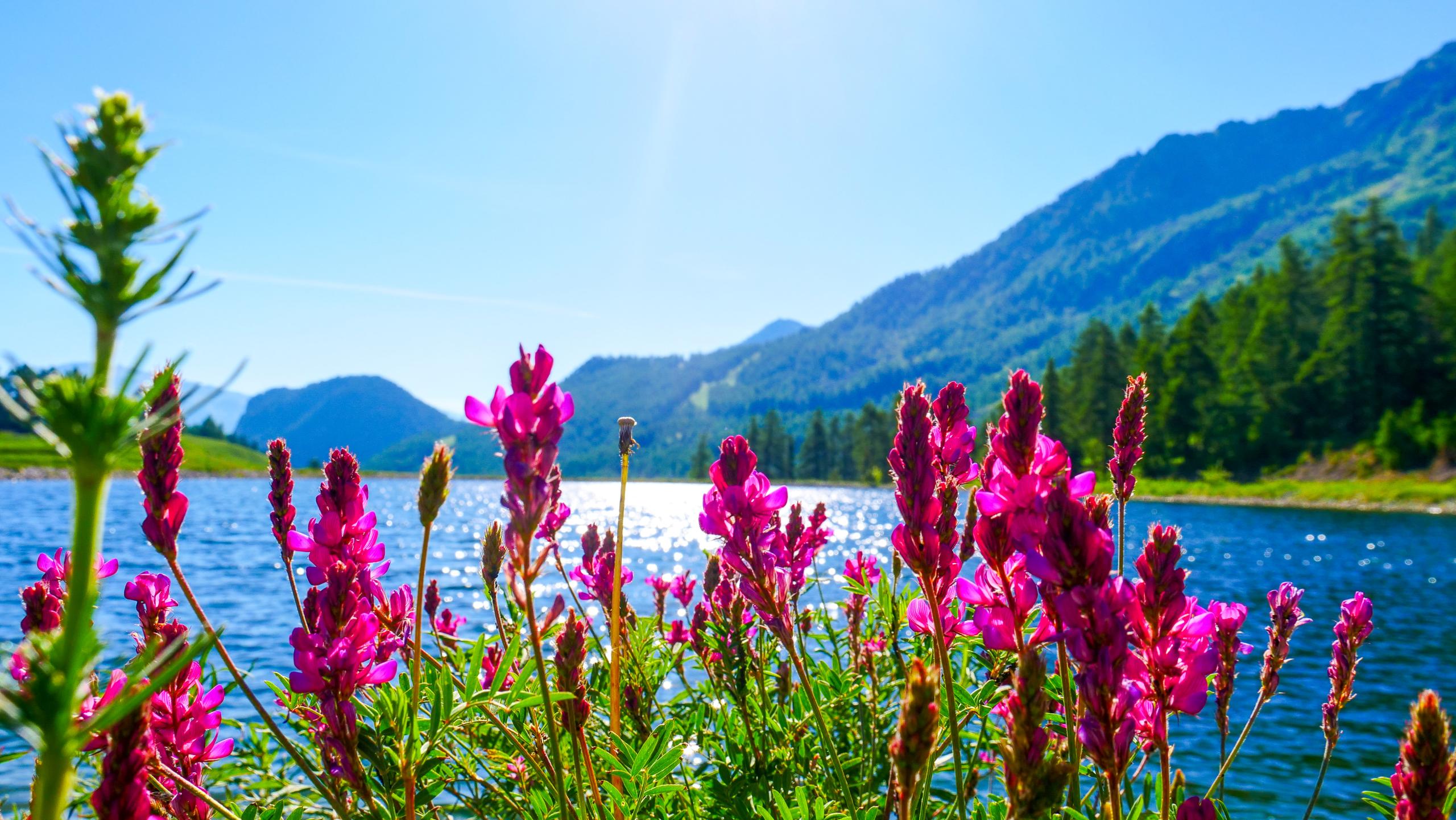 vacaciones montana Montgenèvre