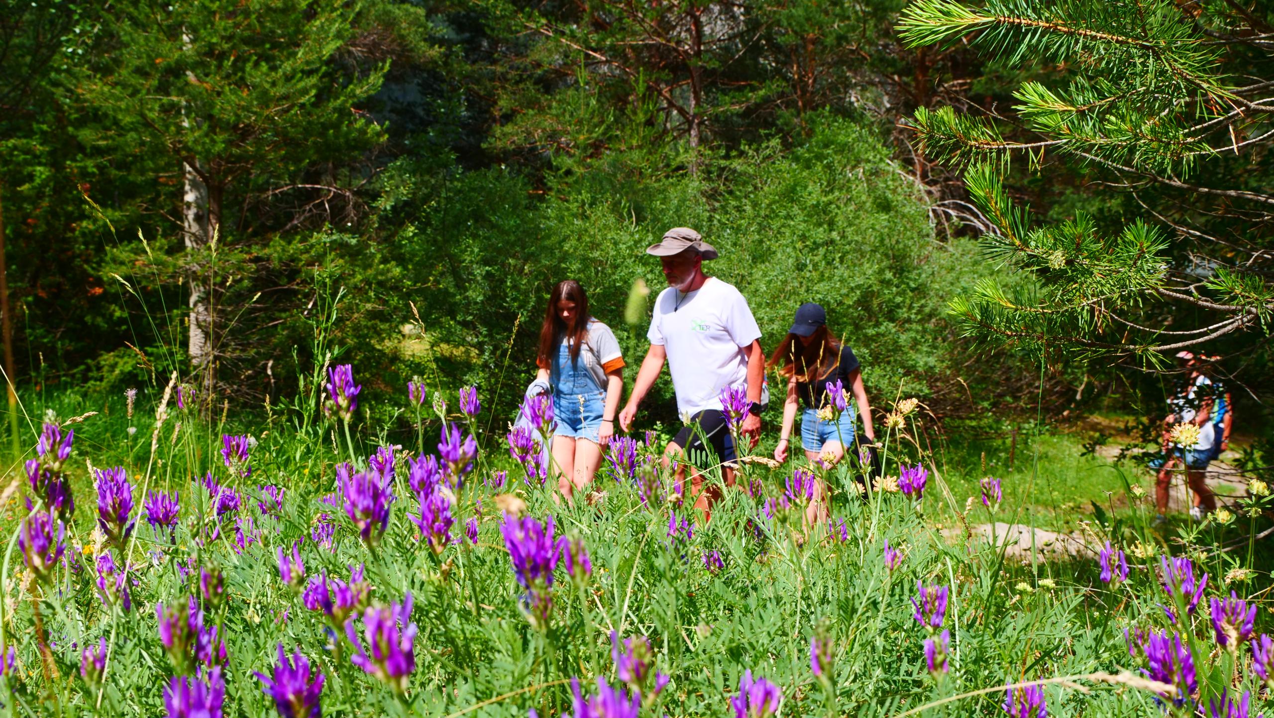 vacaciones montana Montgenèvre