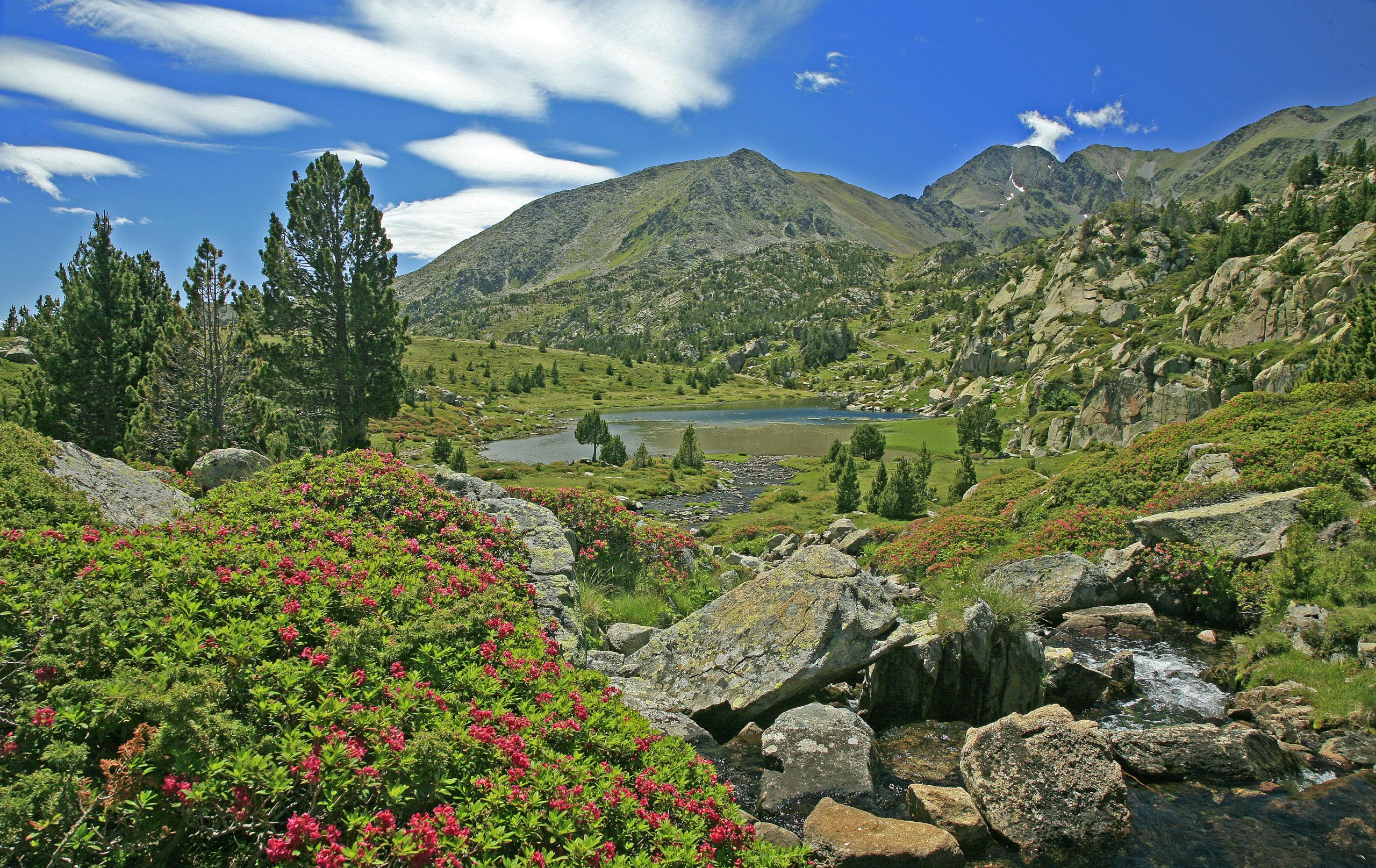 location vacances Font Romeu