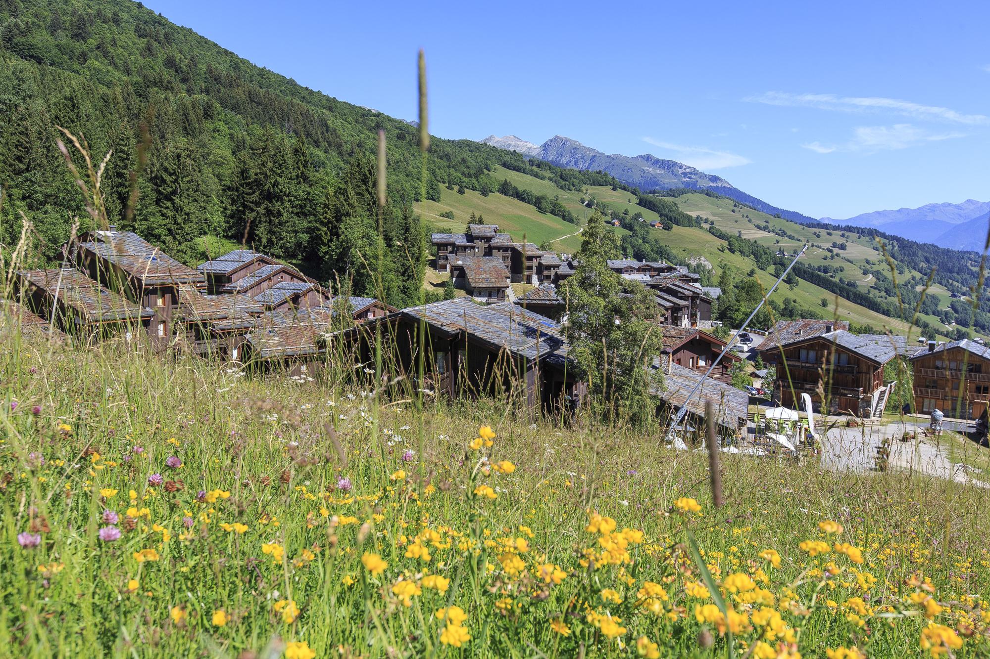mountain vacation Valmorel