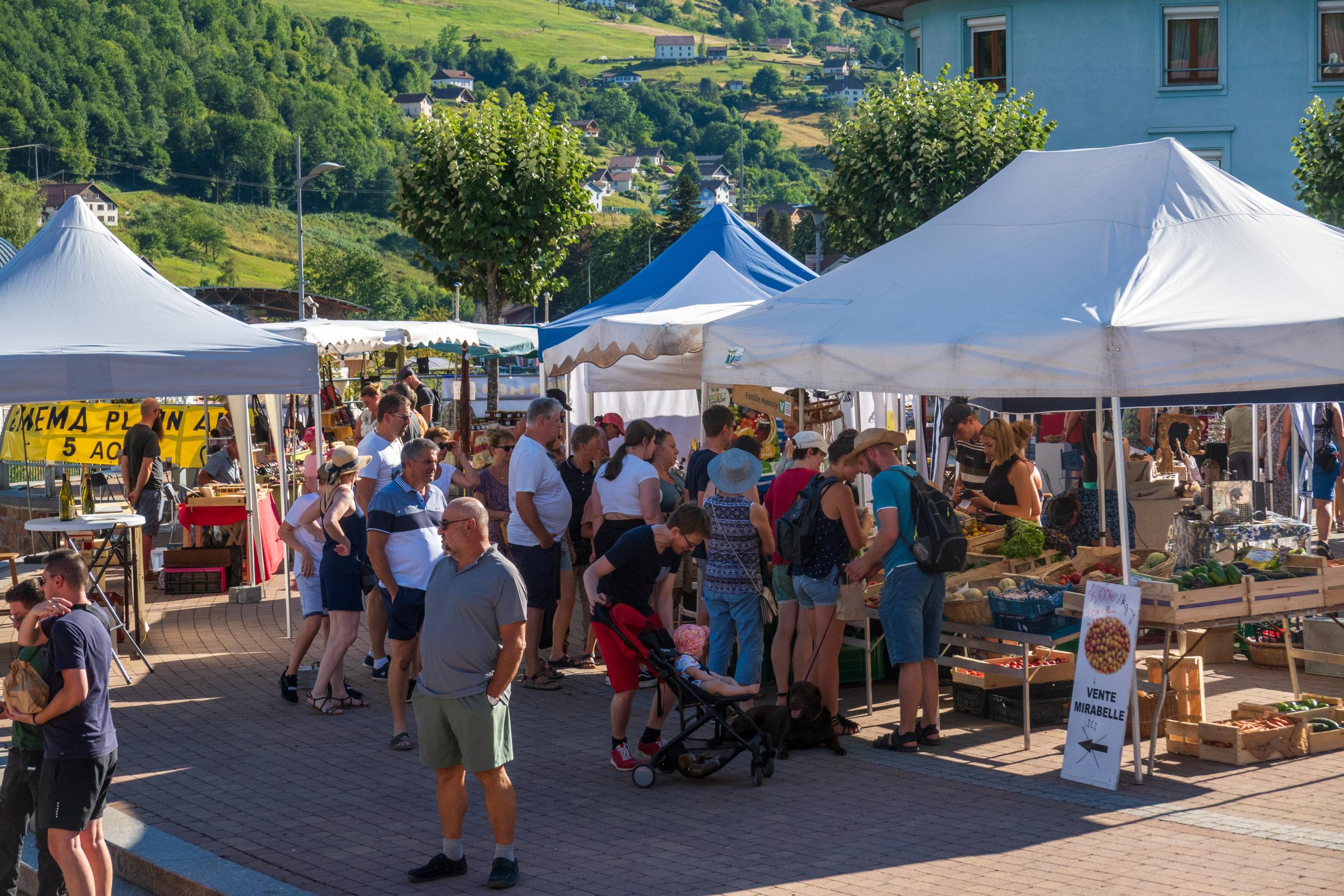 vakantie verhuur La Bresse