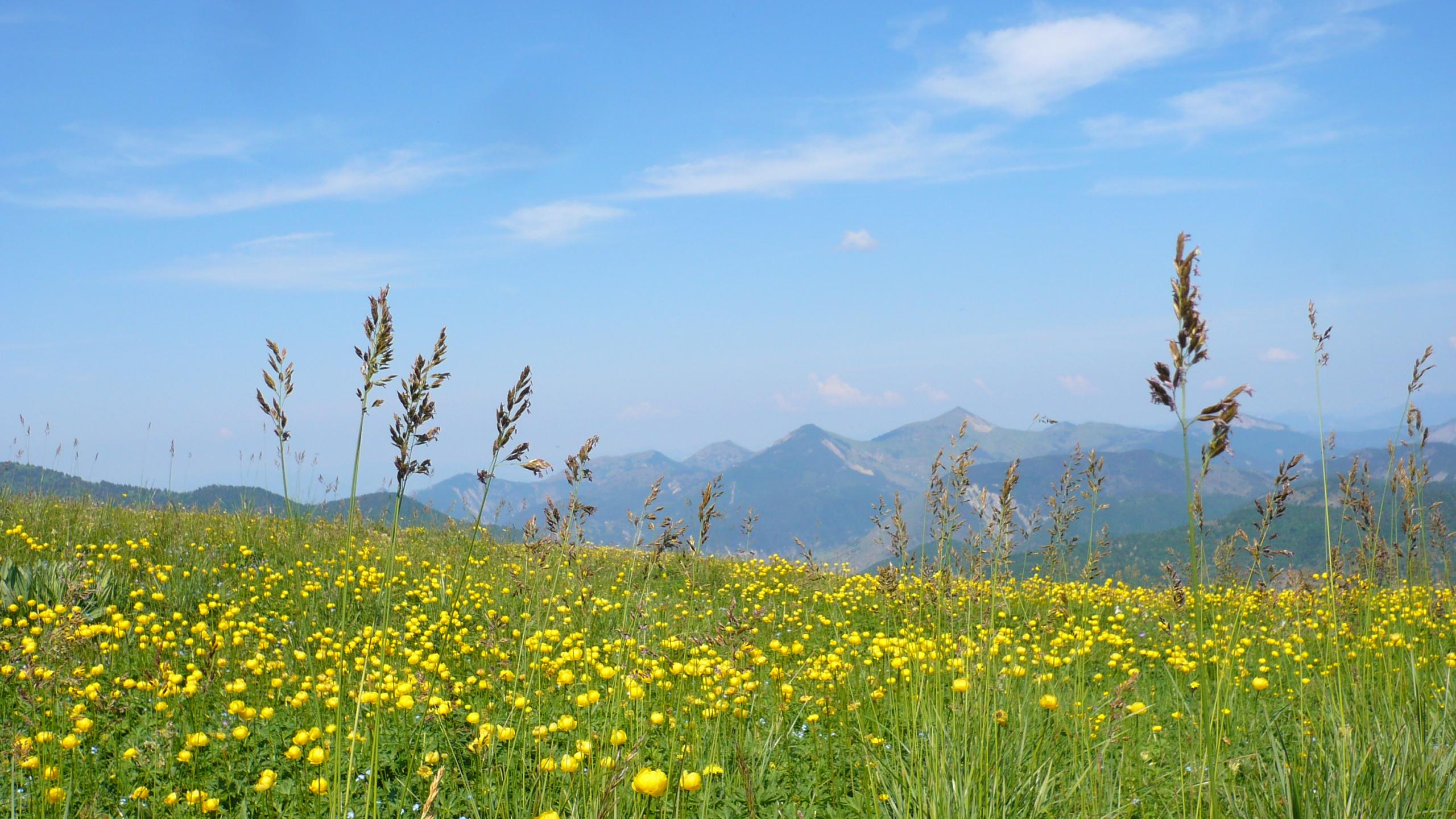mountain vacation Chabanon-Selonnet