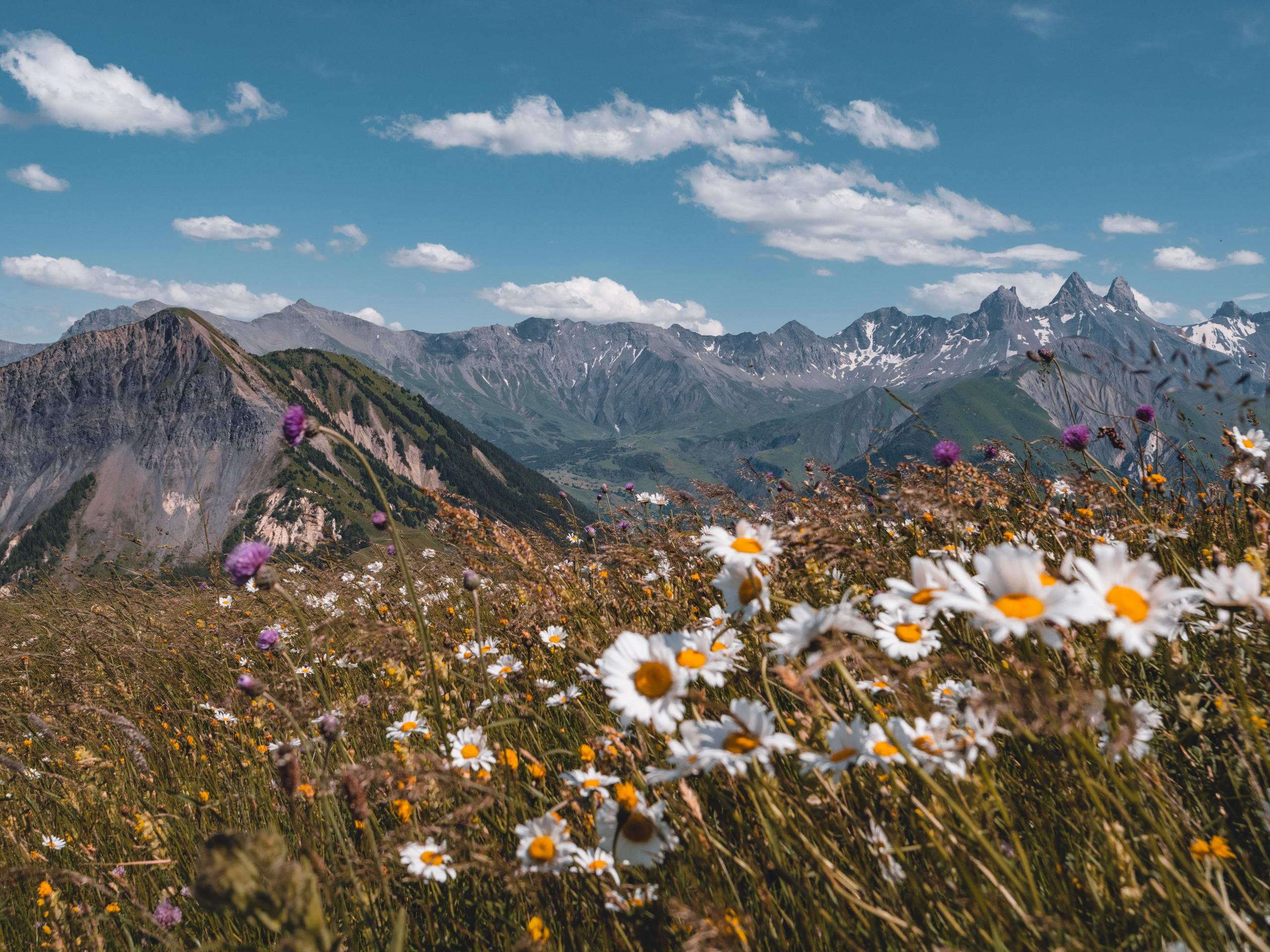 vacaciones montana Le Corbier