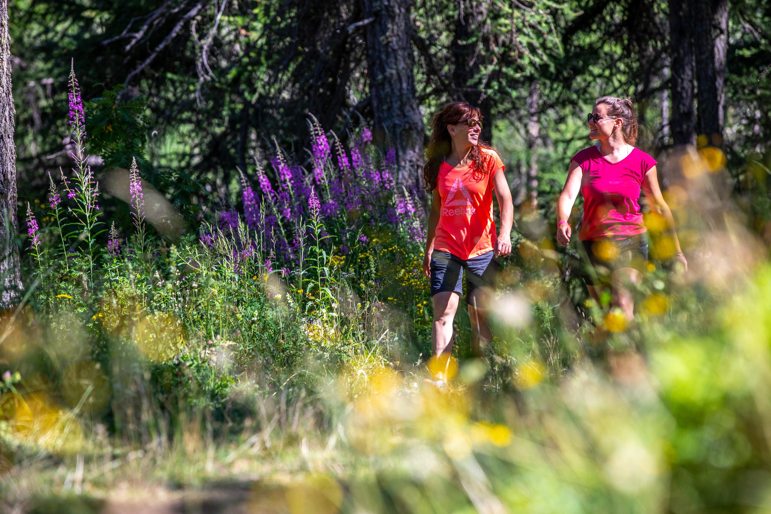 wynajem wakacje Vars