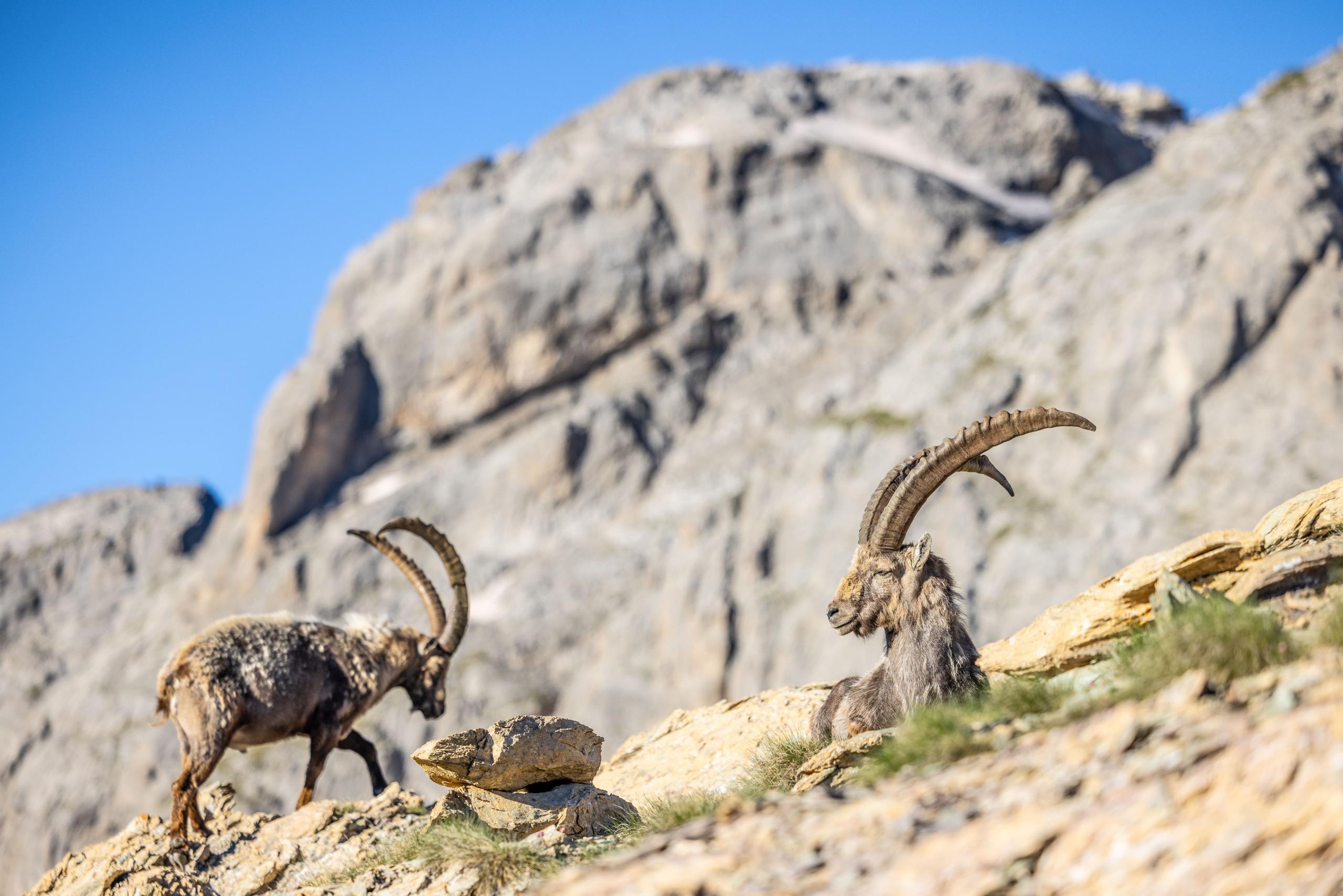 mountain vacation Valloire