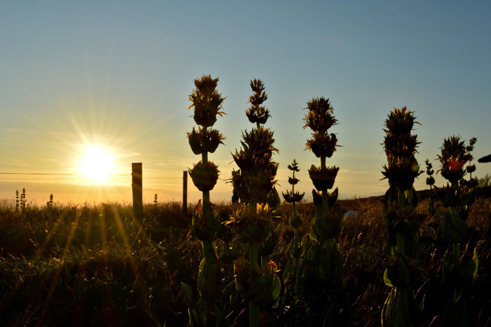 location vacances Le Lac Blanc