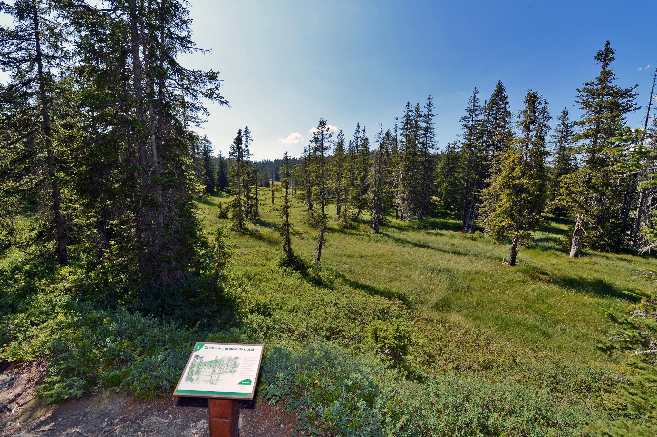 unterkunft ferien Crest-Voland/Cohennoz