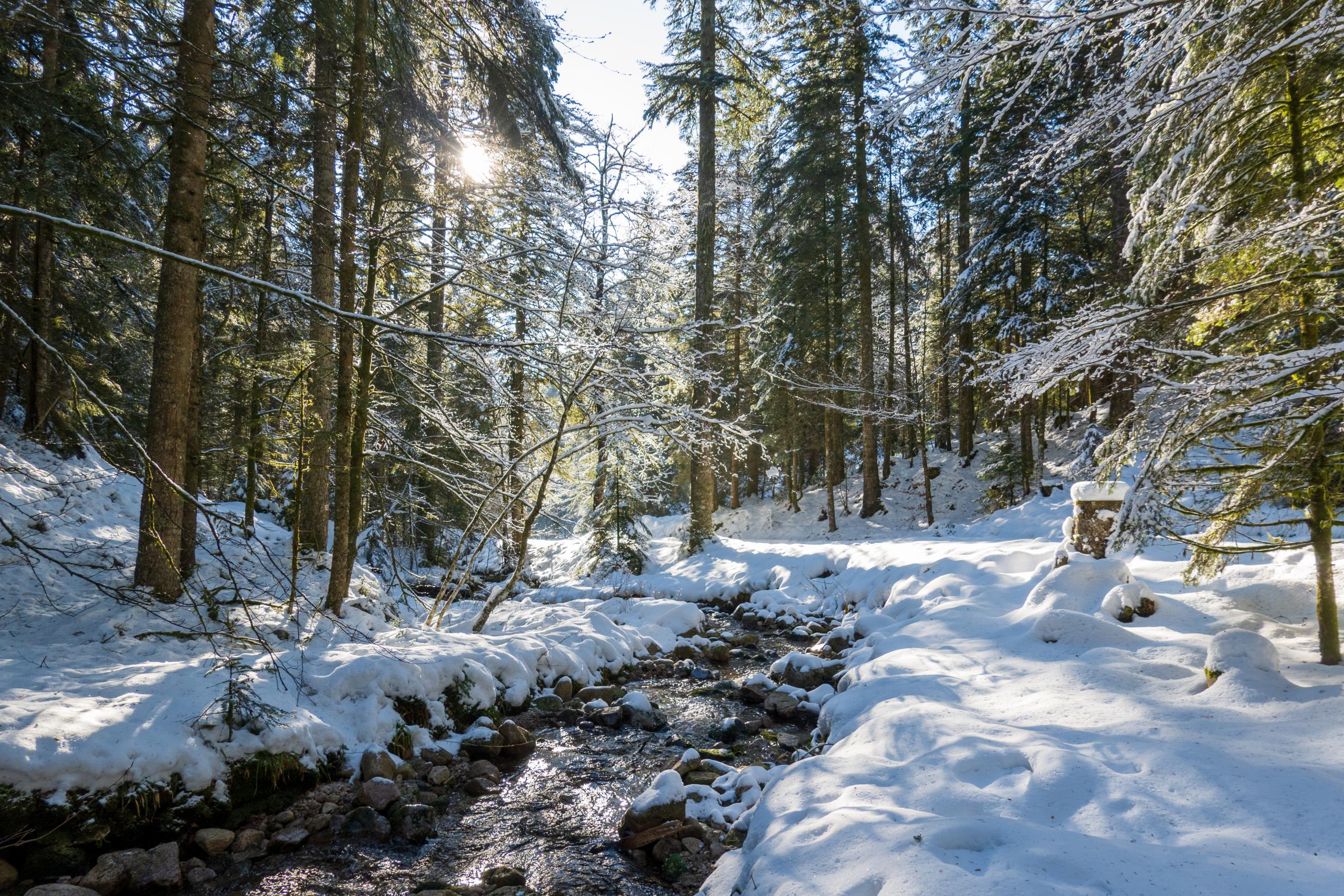 location vacances Ventron