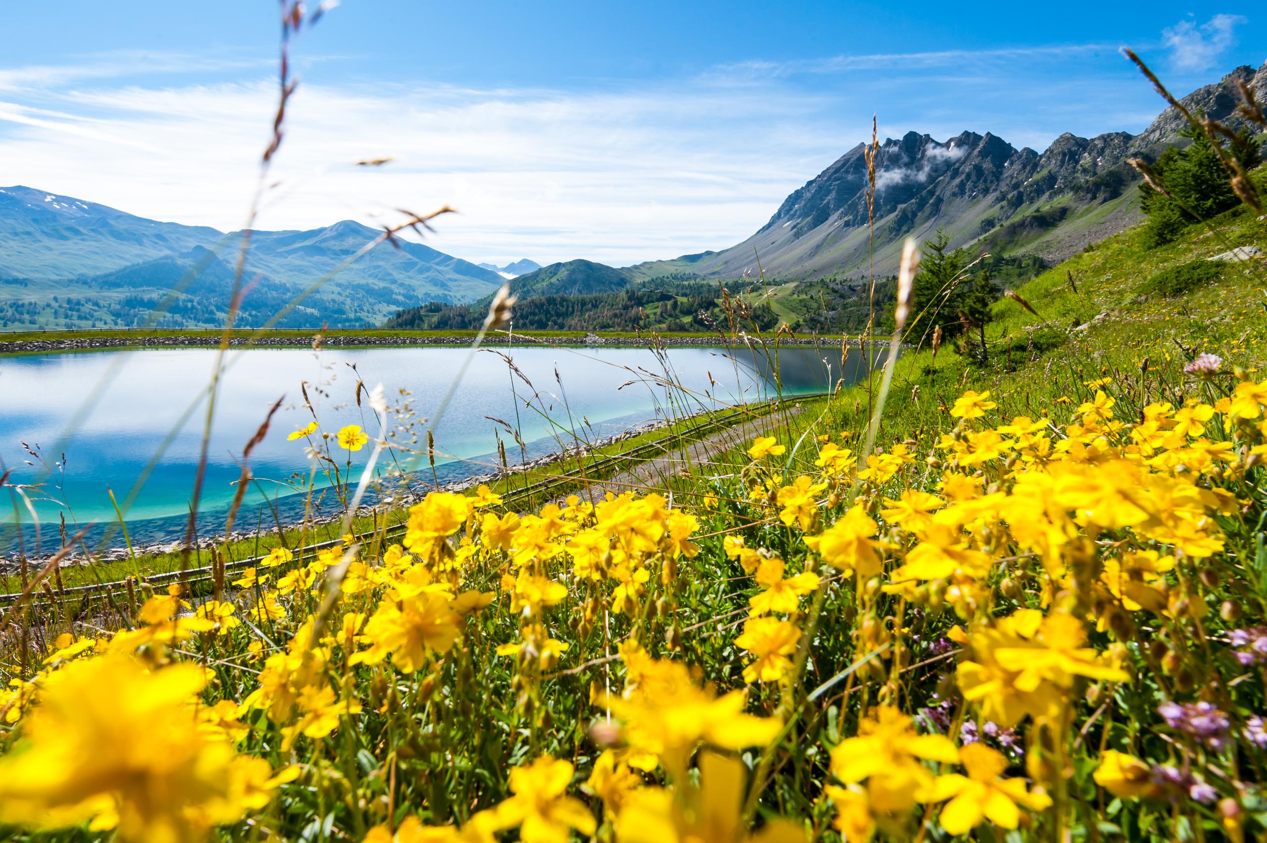 locazione vacanze Vars
