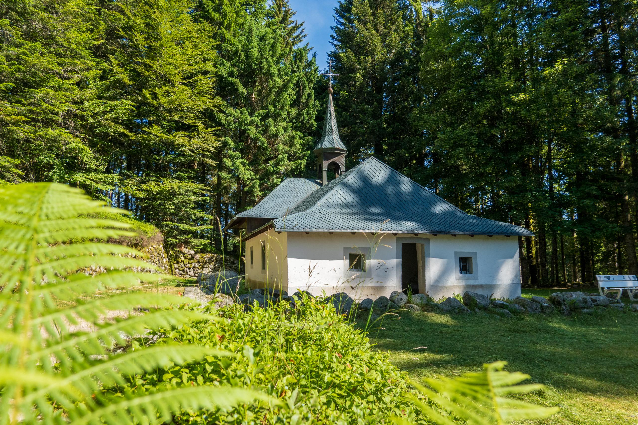 location vacances Ventron